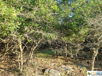 4972 Comanche Dr, Temple, TX 76502 - photo 4