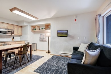 270 Primrose Path unit 33B, Breckenridge, CO 80424 - photo 6