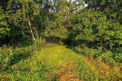 N34701 County Rd N, Blair, WI 54616 - photo 6