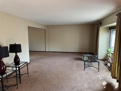 11S067 West St, Naperville, IL 60565 - photo 2