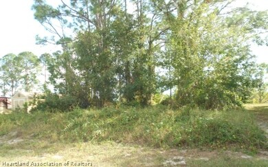 704 Lake Betty Dr, Lake Placid, FL 33852 - photo 6