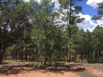 Tall Pines