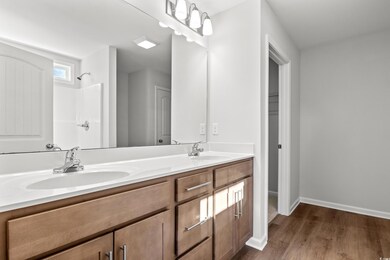 Bathroom featuring a shower, wood-type flooring, and vanity