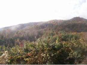 RIDGE TOP VIEW PHOTO