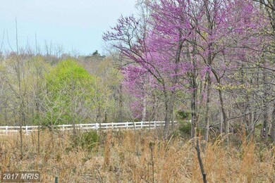 1115 Harpers Ferry Rd, Knoxville, MD 21758 - photo 6