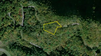 Lodge, Marshall, NC 28753 - photo 4