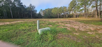 Lot 42 & 43 Anita Ct, Dothan, AL 36303 - photo 3