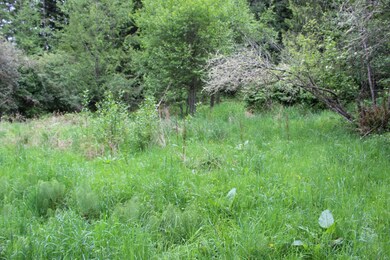 18513 Elkhorn Blvd E, Orting, WA 98360 - photo 2