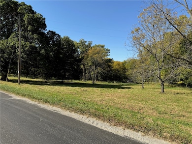 9264 Caleb Rd, Argenta, IL 62501 - photo 4