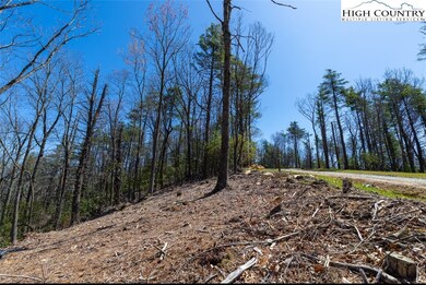 84 Wilderness Reserve Pkwy, Deep Gap, NC 28618 - photo 5