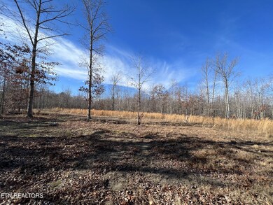 Lot J McCartt Ridge Ln, Sunbright, TN 37872 - photo 3