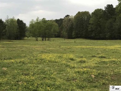 000 Mcclary Rd, Grayson, LA 71435 - photo 2