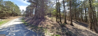 3 WEST Dry Pond Rd, Ranger, GA 30734 - photo 6