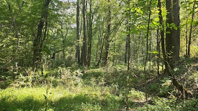 Nelson Corner Rd, Roxie, MS 39661 - photo 5