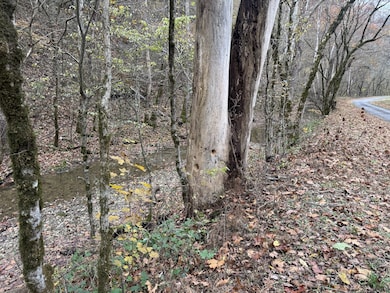 0 Pine Lick Rd unit RTC3043362, Whitleyville, TN 38588 - photo 5