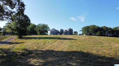 345 Conchardee Ln, Lincoln, AL 35096 - photo 6