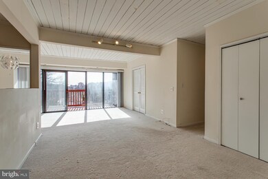 51 Skyhill Rd unit 303, Alexandria, VA 22314 - photo 5