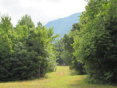 0 Stantons Ln, Greeneville, TN 37743 - photo 2