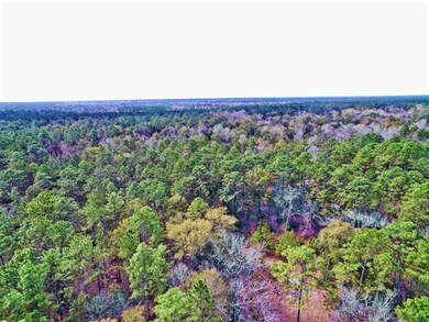 xx Moody Ln, Crawfordville, FL 32327 - photo 6