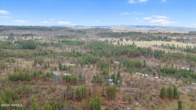 NKA Log Cabin Rd, Goldendale, WA 98620 - photo 4