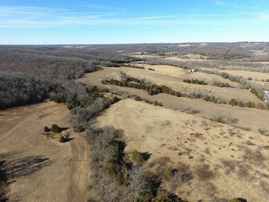 Tbd Frd 1195, Jenkins, MO 65605 - photo 5