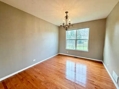 138 Redmond Dr, Gilberts, IL 60136 - photo 5