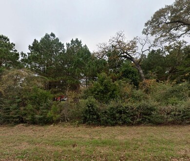 Mcgregor Ct, Hempstead, TX 77445 - photo 7