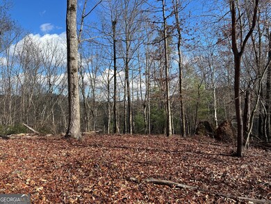 200 Mincey Acres Dr, Murrayville, GA 30564 - photo 6