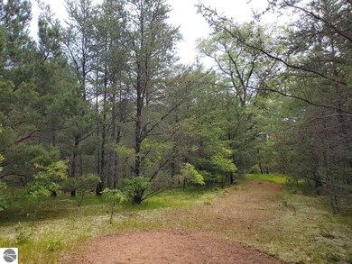 0 Cabin Lake Road Nw Corner at Oleskie Trail unit 1902033, West Branch, MI 48661 - photo 6