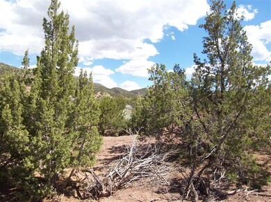 0 Camino Mesteno Tract 6-A unit 758521, Placitas, NM 87043 - photo 3