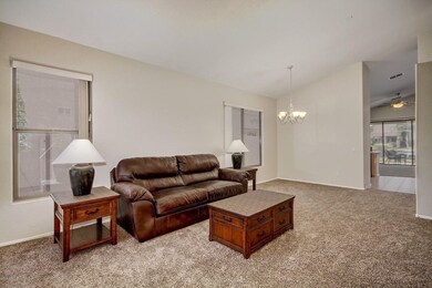 Fresh Paint & New Carpet