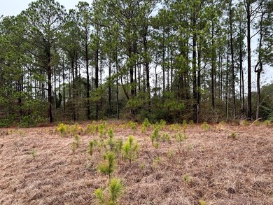 0 Turner Church Rd, Enigma, GA - photo 5