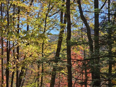 0 Black Oak Rd, Rock, WV 24747 - photo 4