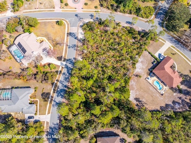 DJI_20250202052237_0003_D