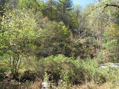 14322 Smith Creek Rd, Bristol, VA 24202 - photo 5