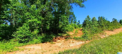 0 Laska Dr unit 20 acres 21420427, Wedowee, AL 36278 - photo 4