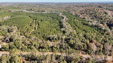 00 Highway 82, Eufaula, AL 36027 - photo 5