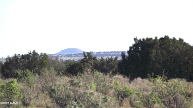 11139 Howard Mesa Loop, Williams, AZ 86046 - photo 6