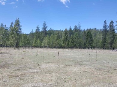 2600 Blk Hogan's Way, Chewelah, WA 99109 - photo 4