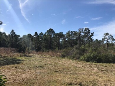 4670 Kola Rd, New Smyrna Beach, FL 32168 - photo 3