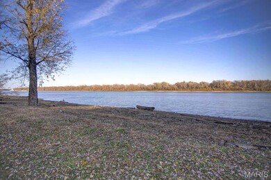 141 Alexander Ln, Kampsville, IL 62053 - photo 6