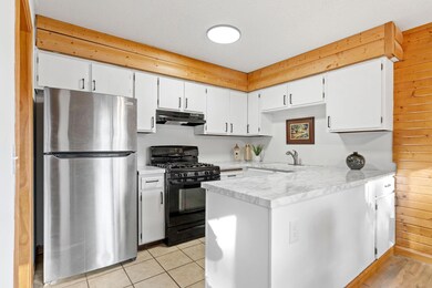 13573 Everton Ave, Saint Paul, MN 55124 - photo 5