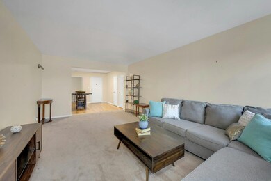 19 Old Mamaroneck Rd unit 3E, White Plains, NY 10605 - photo 5