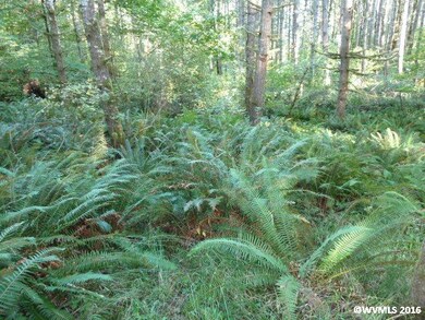 24293 Columbine Dr, Philomath, OR 97370 - photo 7