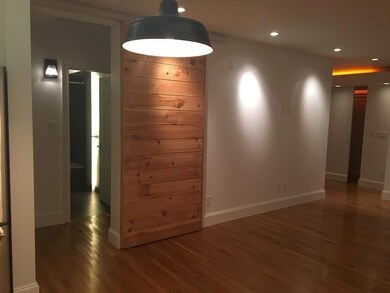 11 Elmira St unit 1, Brighton, MA 02135 - photo 4