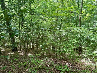 79 River Overlook Ln, Ellijay, GA 30540 - photo 7