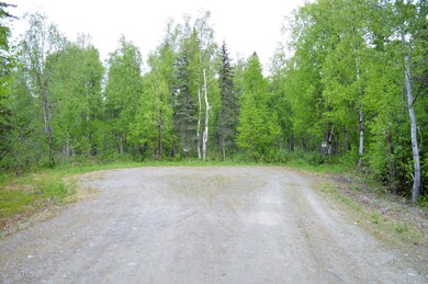 Pic1