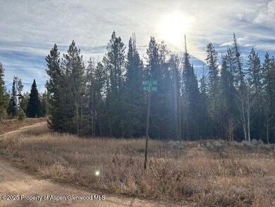 TBD Wiffle Tree Trail, Oak Creek, CO 80467 - photo 3
