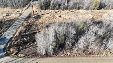 Parcel C Parameter, Deer River, MN 56636 - photo 6