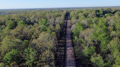 000 Carmickle Rd, Maynard, AR 72444 - photo 4